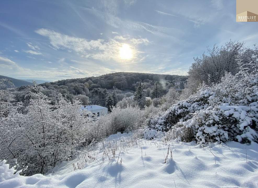 Exklusives Grundstück in unvergleichlicher Grünruhelage