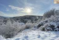 Exklusives Grundstück in unvergleichlicher Grünruhelage