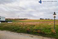 Traumhaftes Baugrundstück in Tresdorf – Ihr Eigenheim auf 782 m² wartet! 391.000 €