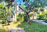 FAST AM GIPFEL .... vom Rosenhügel