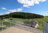 Attraktive 114m² große Doppelhaushälfte mit 2 Wohn-/Gewerbeeinheiten, Garten und Balkon in Gutauer Naturlage zu kaufen