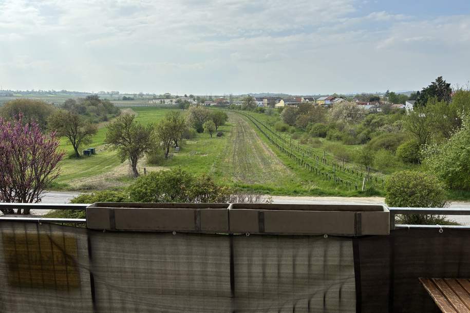 Großzügige Familienwohnung mit Tiefgarage in der Storchenstadt Rust am See, Wohnung-kauf, 295.000,€, 7071 Rust(Stadt)