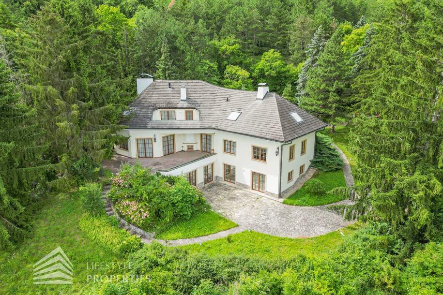 Luxus-Landhausvilla in Ruhelage mit traumhaftem Panoramablick, Haus-kauf, 1.750.000,€, 2721 Wiener Neustadt(Land)