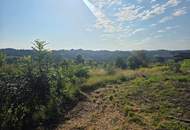 Baugrund + Freiland (Weingarten) in Aussichtslage auf slowenischer Seite!