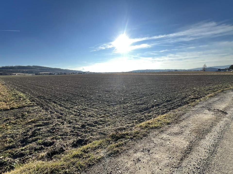 Attraktives Betriebsgrundstück in Pöchlarn!