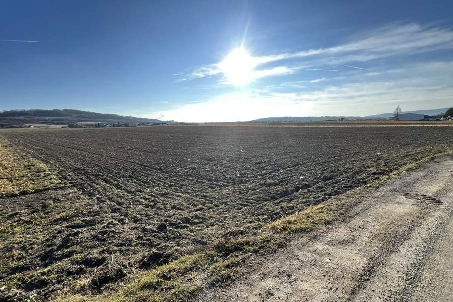 Attraktives Betriebsgrundstück in Pöchlarn!, Grund und Boden-kauf, 980.000,€, 3380 Melk