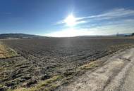 Attraktives Betriebsgrundstück in Pöchlarn!