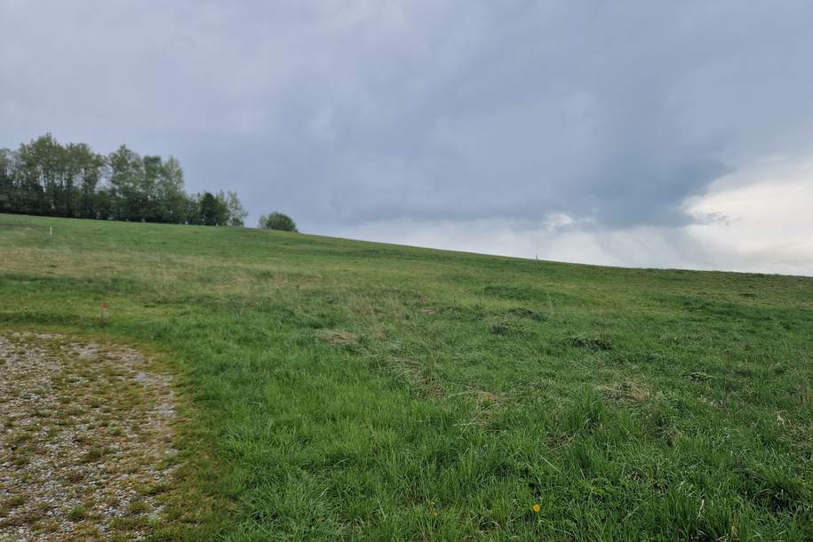 AUSSERGEWÖHNLICHES BAUGRUNDSTÜCK IN MAIGEN MIT HERRLICHEM AUS- UND FERNBLICK IN TOLLER, RUHIGER, ERHÖHTER WOHNLAGE, Grund und Boden-kauf, 88.000,€, 3521 Krems(Land)