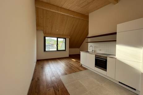 PROVISIONSFREI ! Exklusive Eigentumswohnungen mit Freifläche , Erstbezug Nachhaltig, Wohnung-kauf, 225.700,€, 2344 Mödling