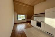 PROVISIONSFREI ! Exklusive Eigentumswohnungen mit Freifläche , Erstbezug Nachhaltig