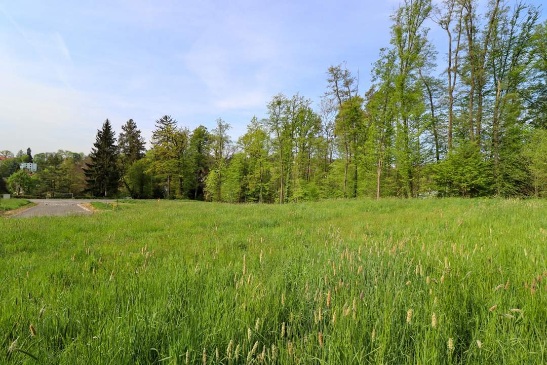 Traumgrundstück in Mariagrün