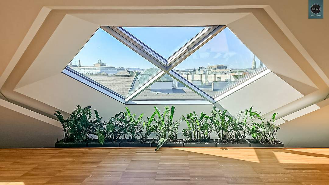 Toplage! Repräsentative Büroflächen im DG eines Palais an Topadresse nahe Freyung & Herrengasse! Klimatisiert!