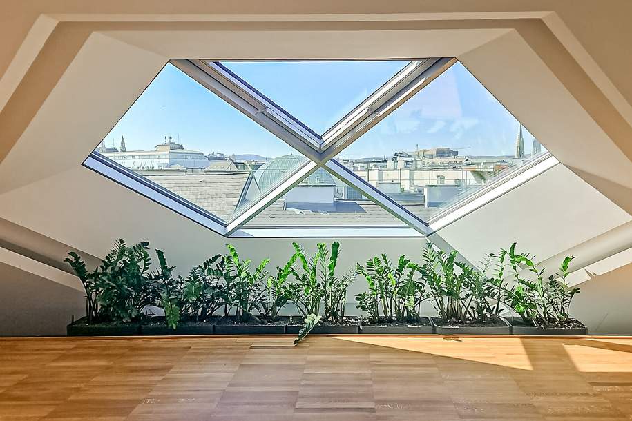 Toplage! Repräsentative Büroflächen im DG eines Palais an Topadresse nahe Freyung & Herrengasse! Klimatisiert!, Gewerbeobjekt-miete, 2.593,04,€, 1010 Wien 1., Innere Stadt