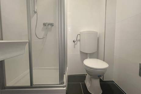 ++ NEU ++ SINGLEHIT in TOP LAGE, Wohnung-miete, 540,87,€, 1030 Wien 3., Landstraße