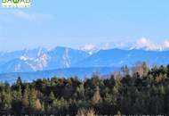 Südhang-Grundstück mit unverbaubarem Fernblick auf die Kärntner Bergwelt