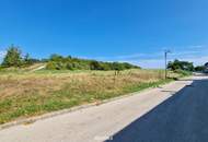 Erstbezug-Doppelhaushälften mit Luxus-Ausstattung und Panoramablick über den Felmeyergarten. Grünruhelage mit sehr guter Infrastruktur in Gehweite