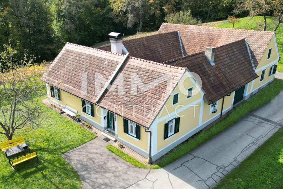 TRAUMLAGE auf einer sonnigen und ruhigen Anhöhe! - KLASSISCHER Vierkanthof - sehr gut erhalten!, Haus-kauf, 487.000,€, 8282 Hartberg-Fürstenfeld