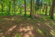 Einzigartige Liegenschaft mit Kachelofen, Wintergarten und parkähnlichen Grundstück in Toplage