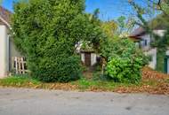 Revitalisieren und Gestalten nach eigenen Ideen: Weinkeller und Garten im Einklang mit der Natur!