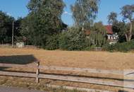 Perfektes Baugrundstück in Buchkirchen/ Wels zu verkaufen !
