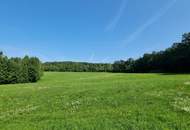 LANDWIRTSCHAFT VOR DEN TOREN WIENS