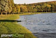 Gestaltbares Mobilheim am Römersee