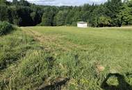 Sonniges Grundstück mit Wiese und Wald in Ruhelage in der Thermenregion!