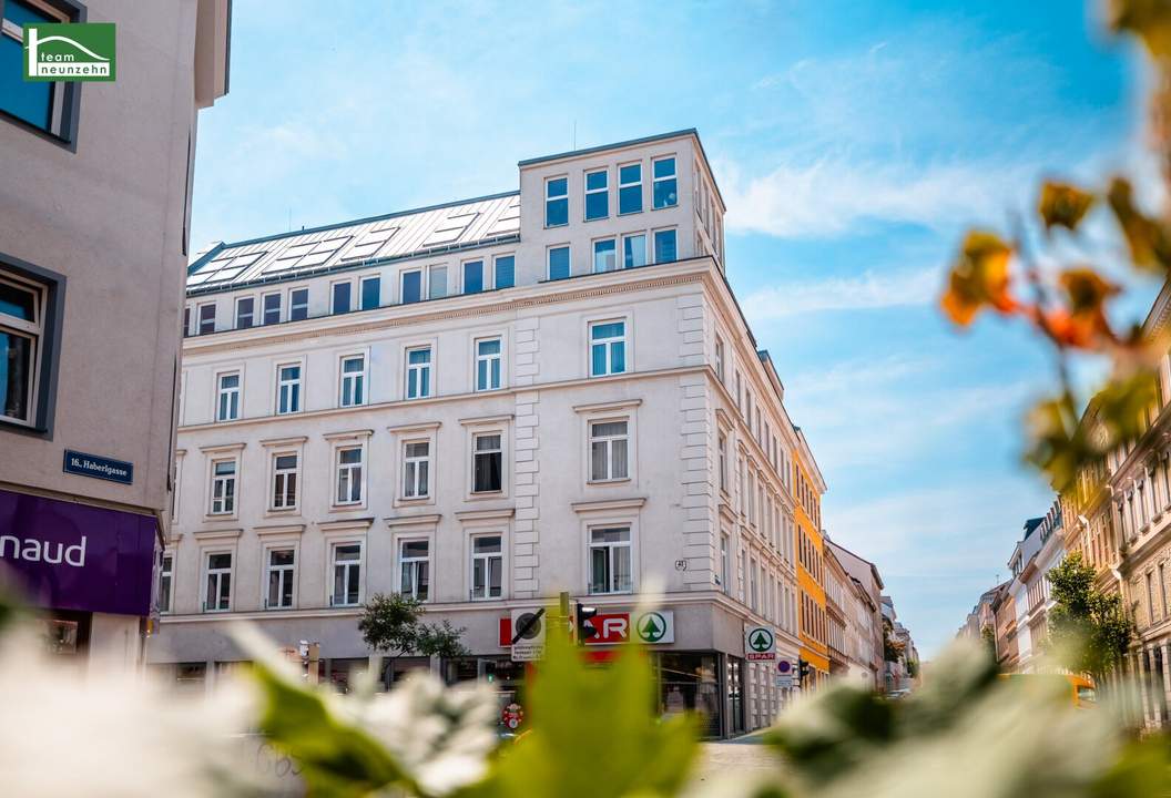 Wiener Wohnkultur auf höchstem Niveau – repräsentative 5-Zimmer-Wohnung in der Haberlgasse