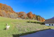 Sonniges Baugrundstück für Ihr neues Eigenheim