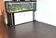 Charmantes Einfamilienhaus in Großkadolz – Ihr neues Zuhause wartet auf SIE!