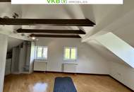 WELS | NEUSTADT: Repräsentative Stadtvilla der Extraklasse – Eleganz, Großzügigkeit und Luxus in Bestlage von Wels!