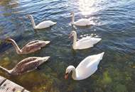 All inklusive Büroplatz, Praxisraum für Massage oder Psychotherapie, Logopädie, Heilpraktiker