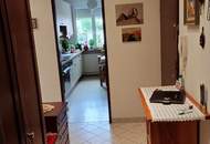 3 Zimmer + Küche + Lift + Loggia