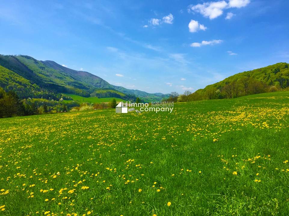 Besser leben am Land !!! Hier wird wohnen zum Genuss !!! Ihre Chance ein tolles Landhaus zu erwerben !!! Traumlage !!!