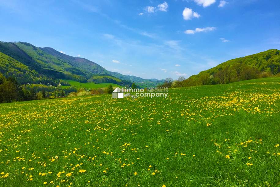 Besser leben am Land !!! Hier wird wohnen zum Genuss !!! Ihre Chance ein tolles Landhaus zu erwerben !!! Traumlage !!!, Haus-kauf, 650.000,€, 2534 Baden