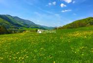 Besser leben am Land !!! Hier wird wohnen zum Genuss !!! Ihre Chance ein tolles Landhaus zu erwerben !!! Traumlage !!!