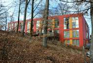 Wohnen am Buchenwald - moderne 57 qm Wohnung mit angenehmer Kühle im Sommer