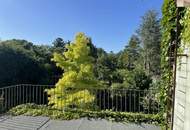 Haus mit Innenhof - Leesdorf