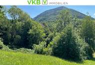 Landwirtschaftliches Grundstück Mitten im Ort-Ybssitz-Niederösterreich