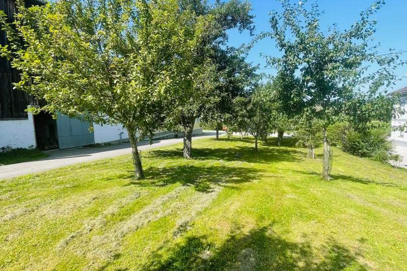 Charmantes Grundstück in ruhiger Lage nahe Ulrichsberg, Grund und Boden-kauf, 13.425,€, 4161 Rohrbach