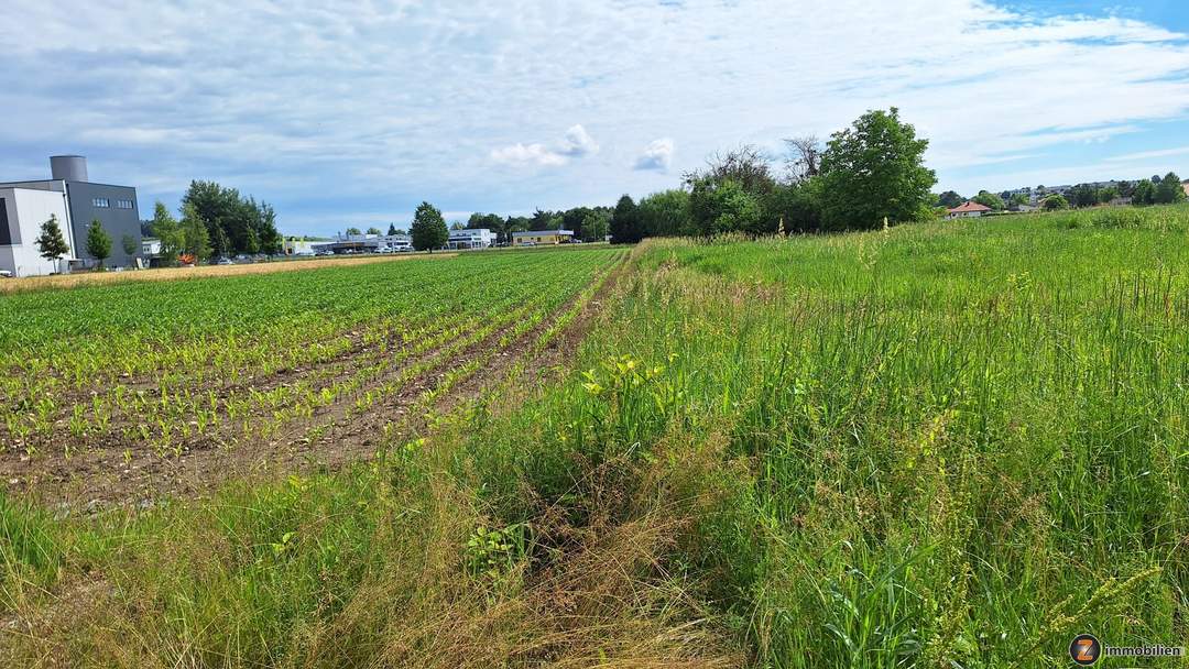 Oberwart: Betriebsbaugrund am Stadtrand!