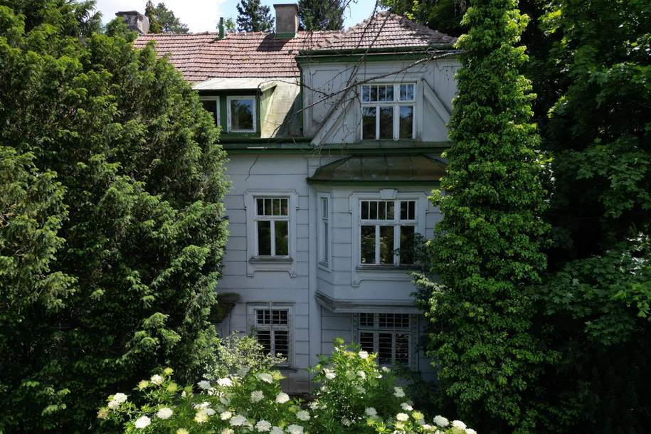 Einfamilienhaus zum Sanieren oder Neubauen – Altbaujuwel in Dornbach, Haus-kauf, 849.000,€, 1170 Wien 17., Hernals