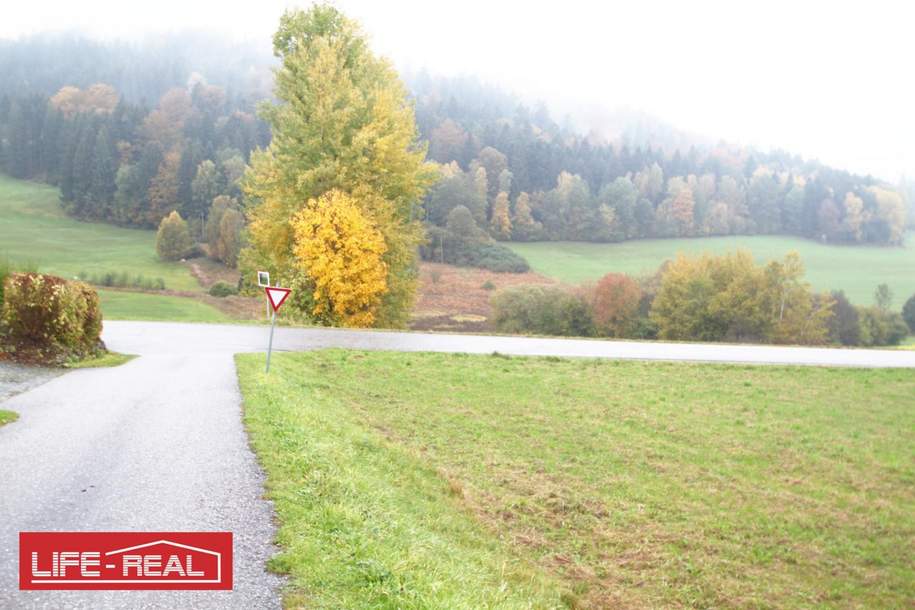 schöne, große landwirtschaftliche Nutzfläche, in ruhiger Lage, Grund und Boden-kauf, 99.000,€, 4150 Rohrbach