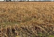 Landwirtschaftlicher Nutzgrund