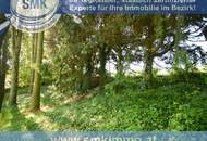 Süßer Traum im Knusperhaus!