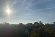 Ihr kleines Paradies am Neusiedlersee