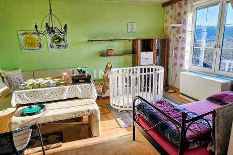 Einfamilienhaus in Heidenreichstein, 4 Zimmer, 105m², sanierungsbedürftig, Top Preis!, Haus-kauf, 149.000,€, 3860 Gmünd