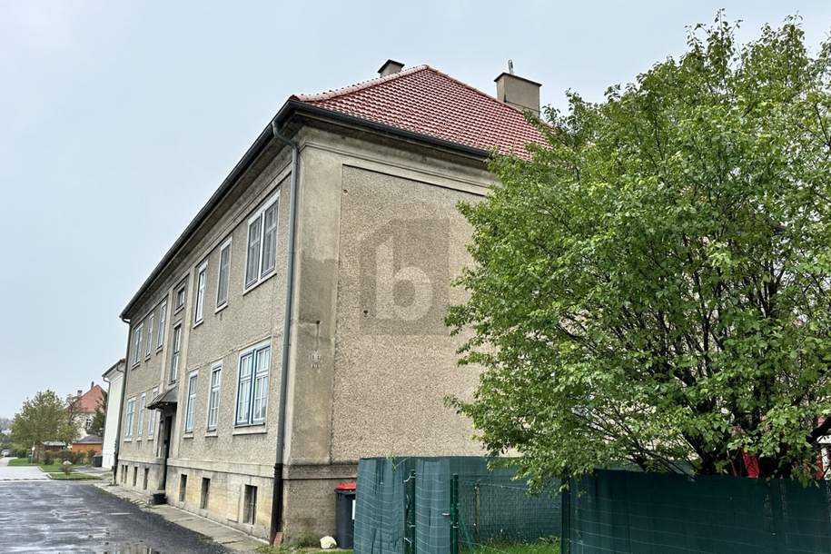 ZINSHAUSPAKET MIT POTENTIAL - NETTOEINNAHMEN AKTUELL: EUR 17.270,-, Gewerbeobjekt-kauf, 3.850.000,€, 2602 Baden