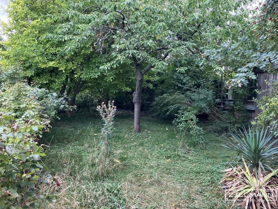 Baugrund mit Altbestand | ZELLMANN IMMOBILIEN