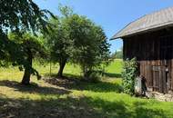 Sacherl in Alleinlage - mit 5000 m² Obstbaumwiese und Wald